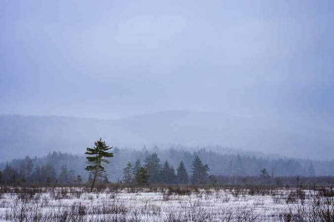 FB_IMG_1515454284773