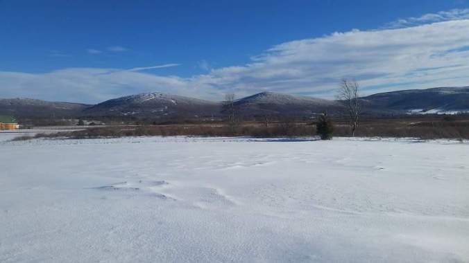 FB_IMG_1515543864185