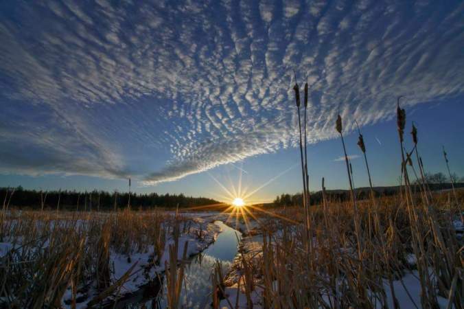 FB_IMG_1516501069193