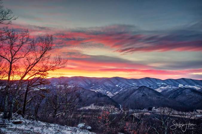 FB_IMG_1517449266083