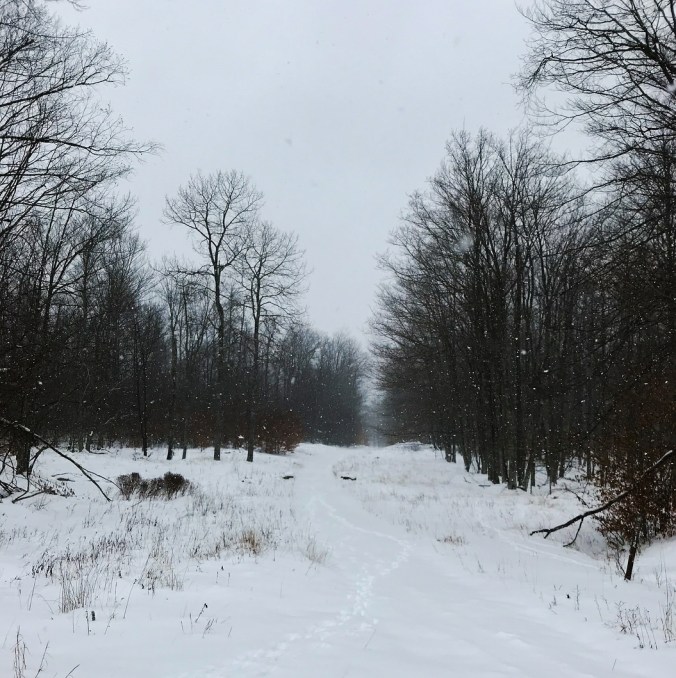 Screenshot_20180108-163024