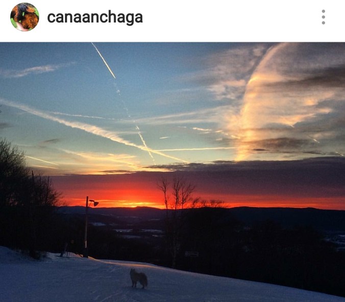 Screenshot_20180131-192552