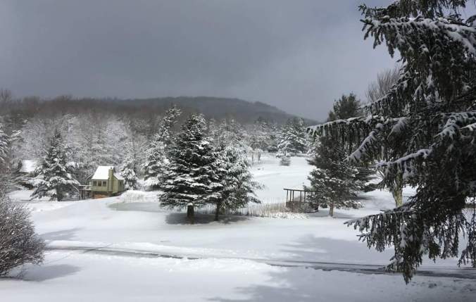 FB_IMG_1517612250408