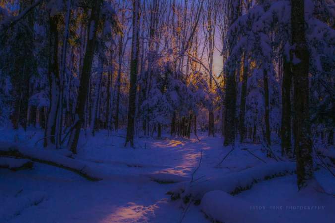 FB_IMG_1517702726795