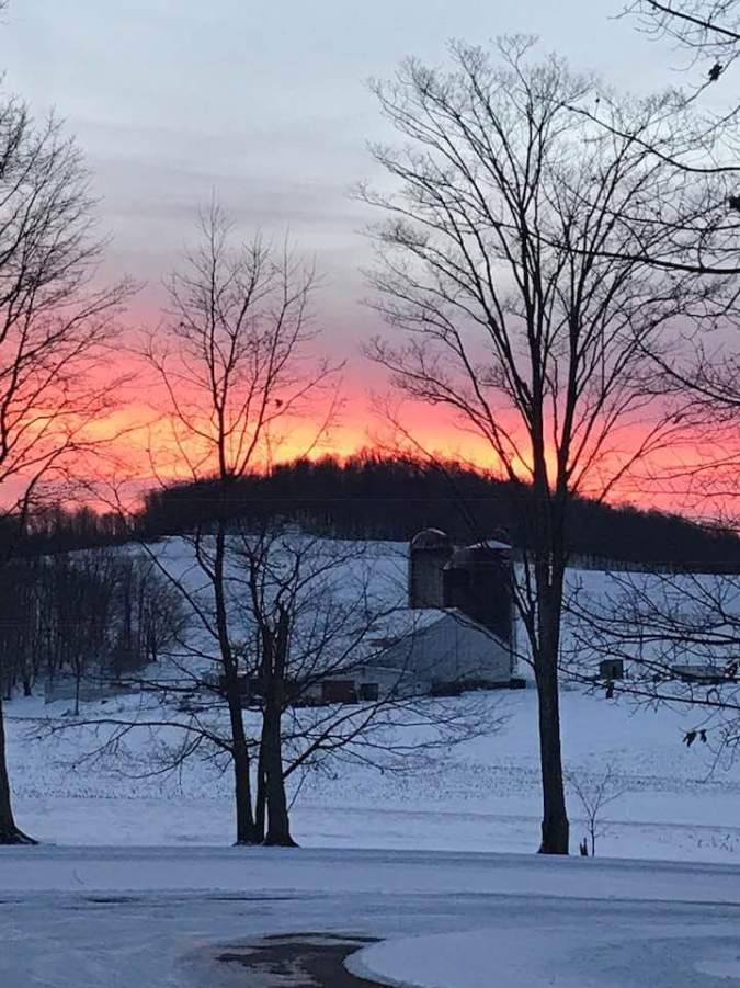 FB_IMG_1517874595558