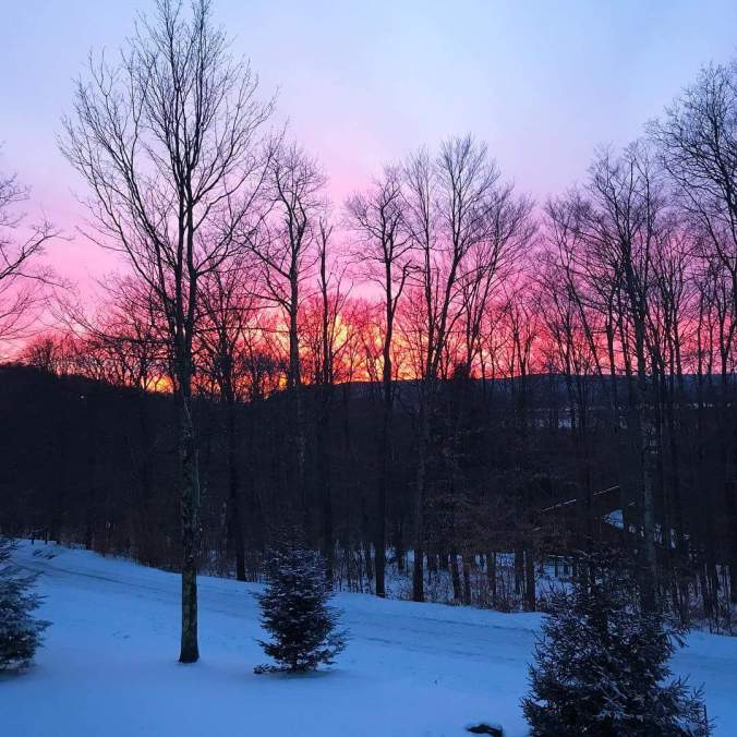 FB_IMG_1517877445813