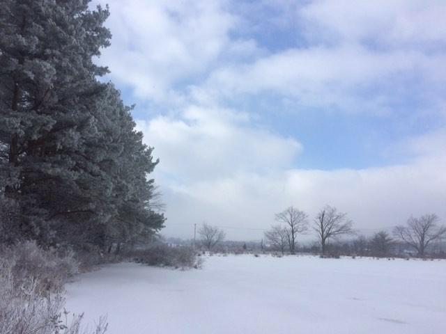 IMG_20180208_202342_769