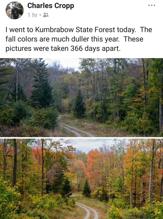 Screenshot_20181008-222232