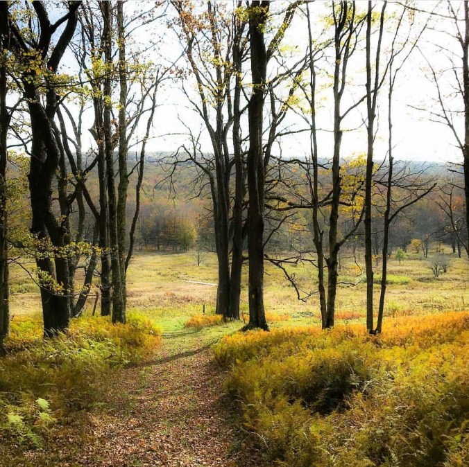 Screenshot_20181009-195319