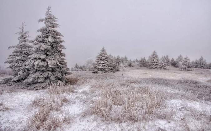 FB_IMG_1543362350671