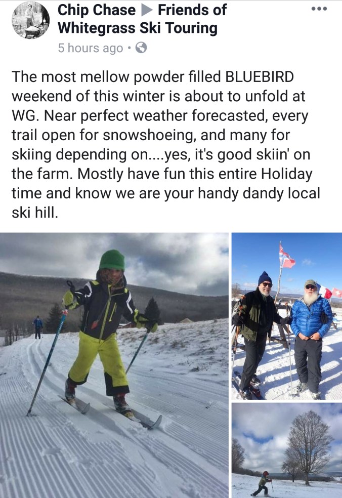 Screenshot_20181207-204923