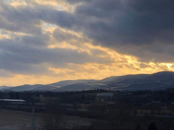 FB_IMG_1550101064035