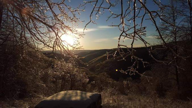 FB_IMG_1550285004018