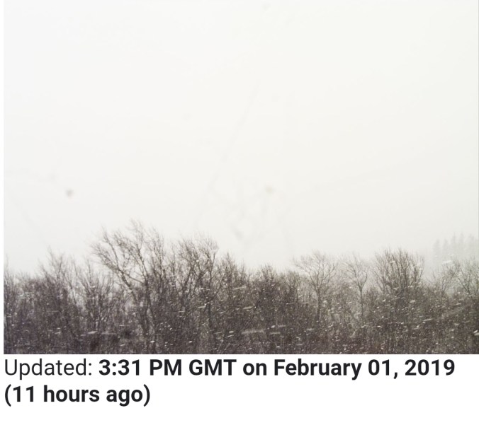 Screenshot_20190201-215059